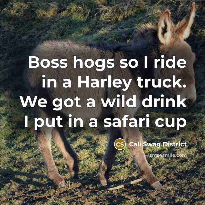 “Boss hogs so I ride in a Harley truck. We…” quote by Cali Swag District