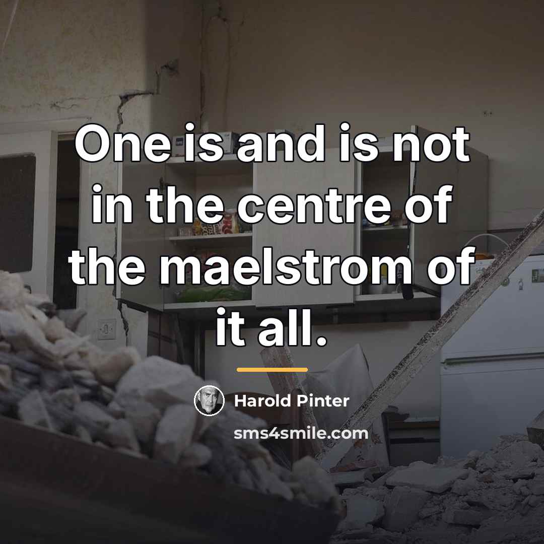 “One is and is not in the centre of the…” quote by Harold Pinter