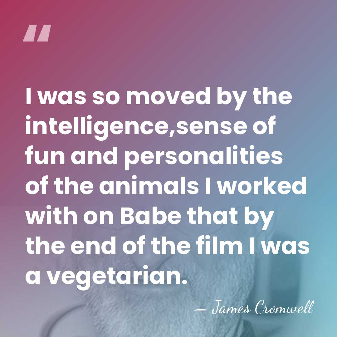 I was so moved by the intelligence,sense of fun and personalities of&hellip; - James Cromwell