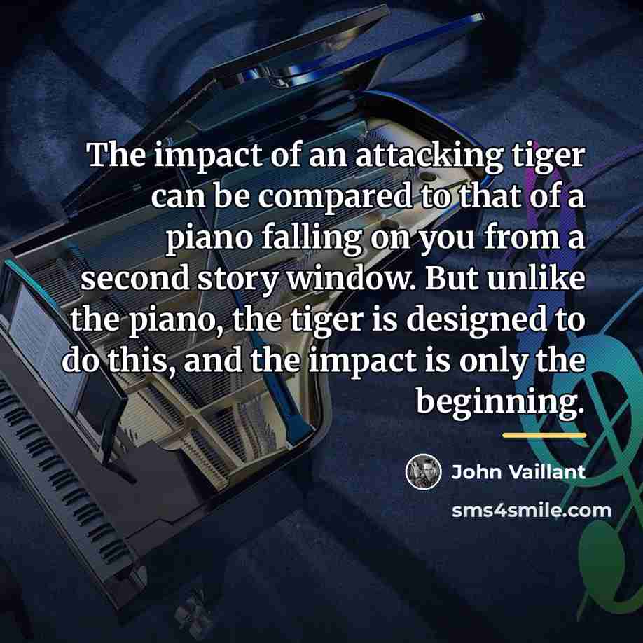 “The impact of an attacking tiger can be compared to…” quote by John Vaillant