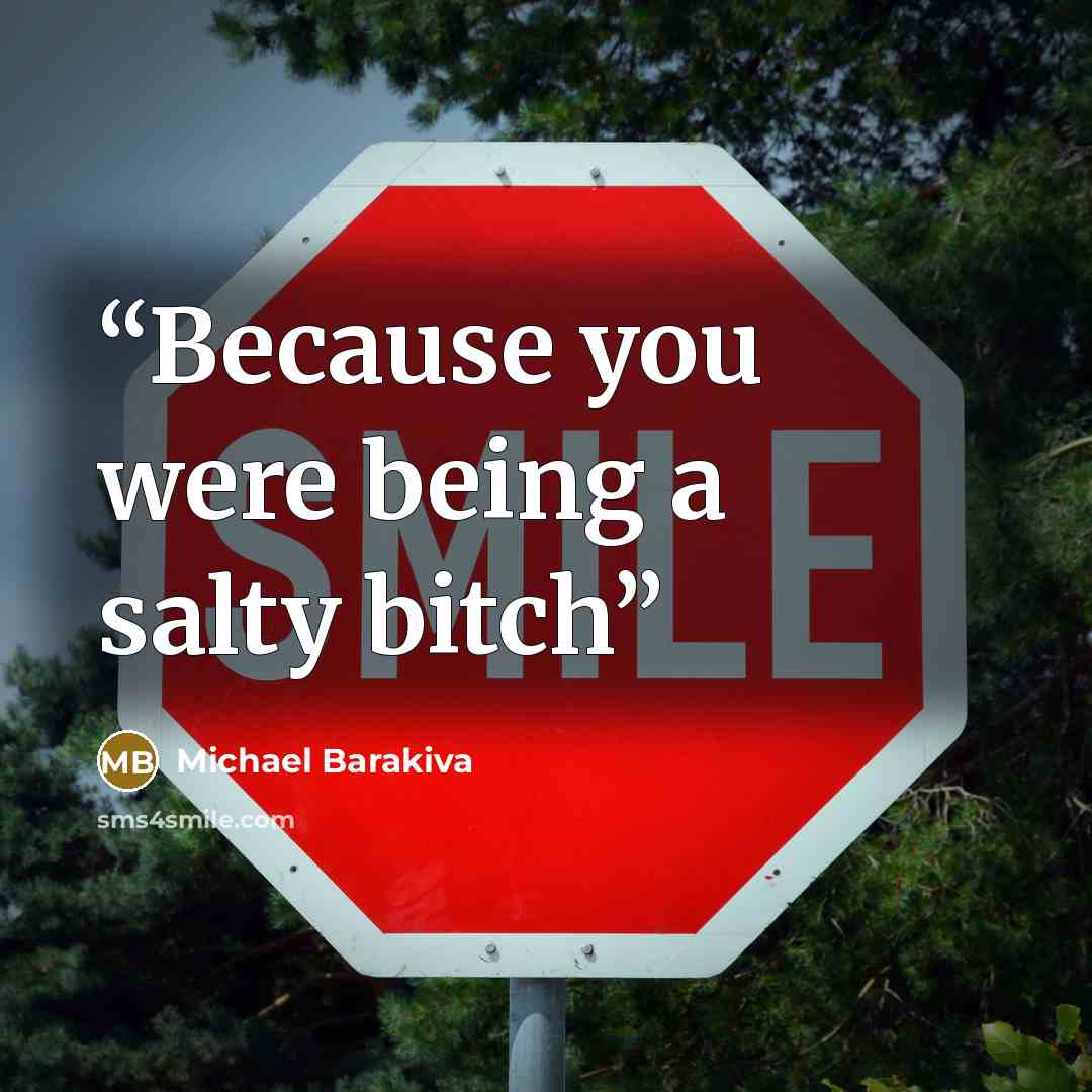 “Because you were being a salty bitch” quote by Michael Barakiva