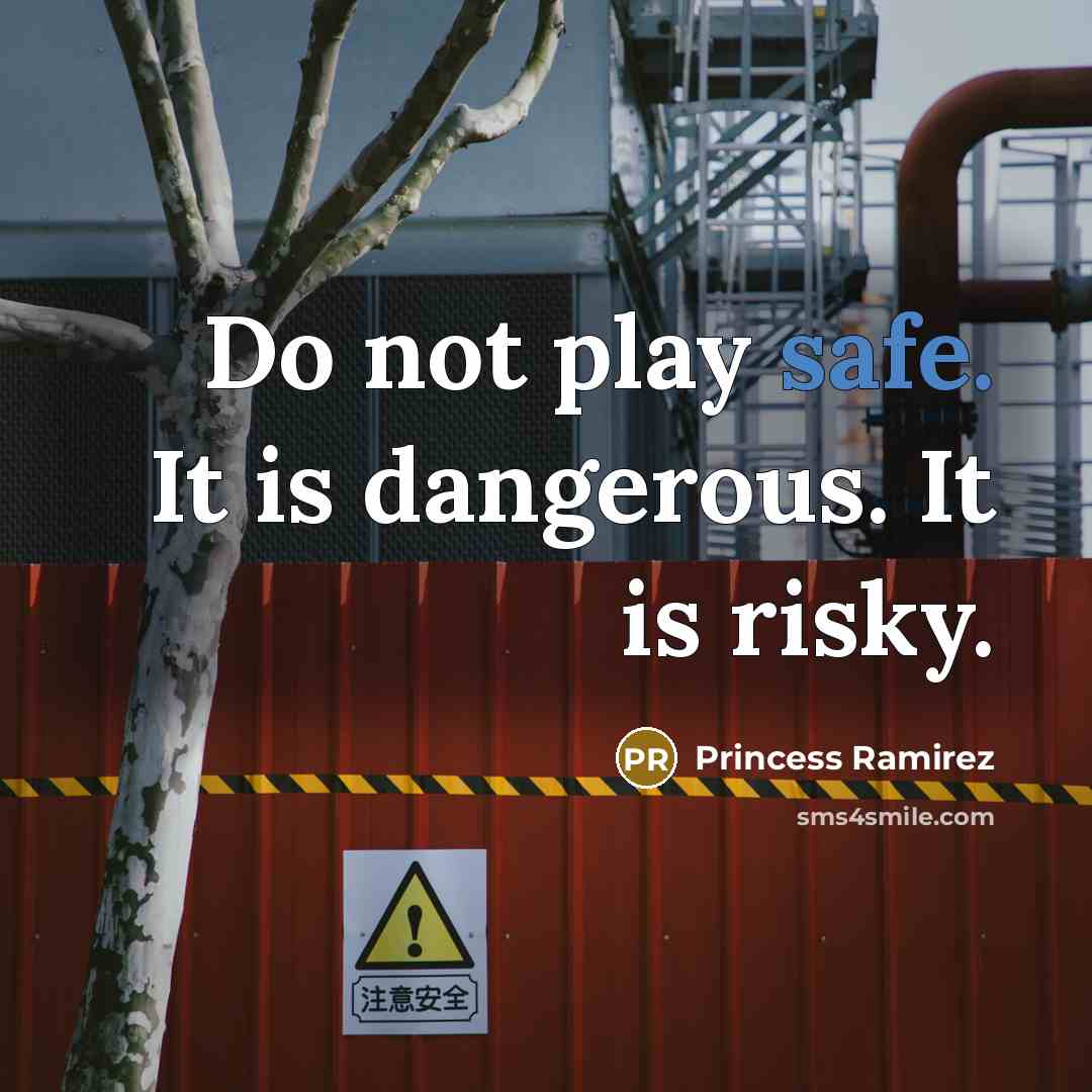 “Do not play safe. It is dangerous. It is risky.…” quote by Princess Ramirez