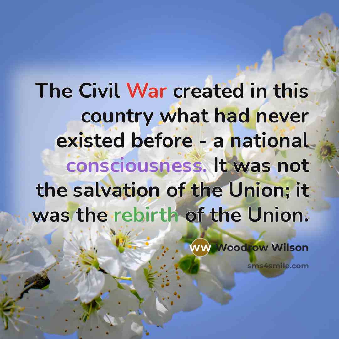 “The Civil War created in this country what had never…” quote by Woodrow Wilson