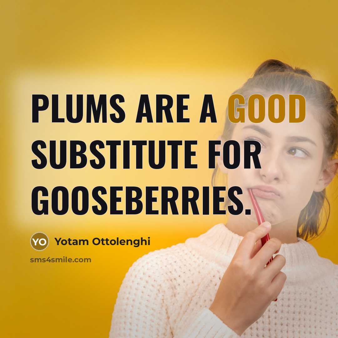 “Plums are a good substitute for gooseberries.…” quote by Yotam Ottolenghi