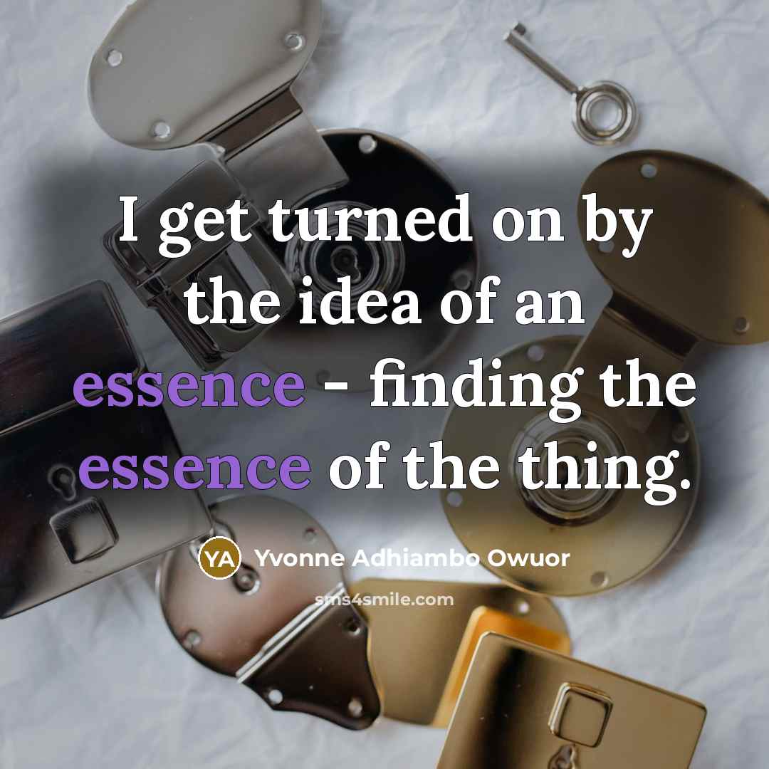“I get turned on by the idea of an essence…” quote by Yvonne Adhiambo Owuor