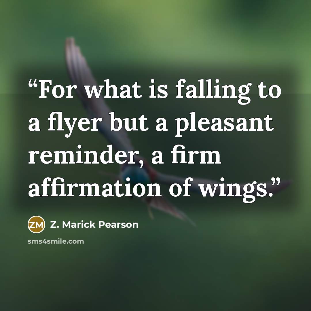 “For what is falling to a flyer but a pleasant reminder, a firm affirmation of wings.” quote by Z. Marick Pearson