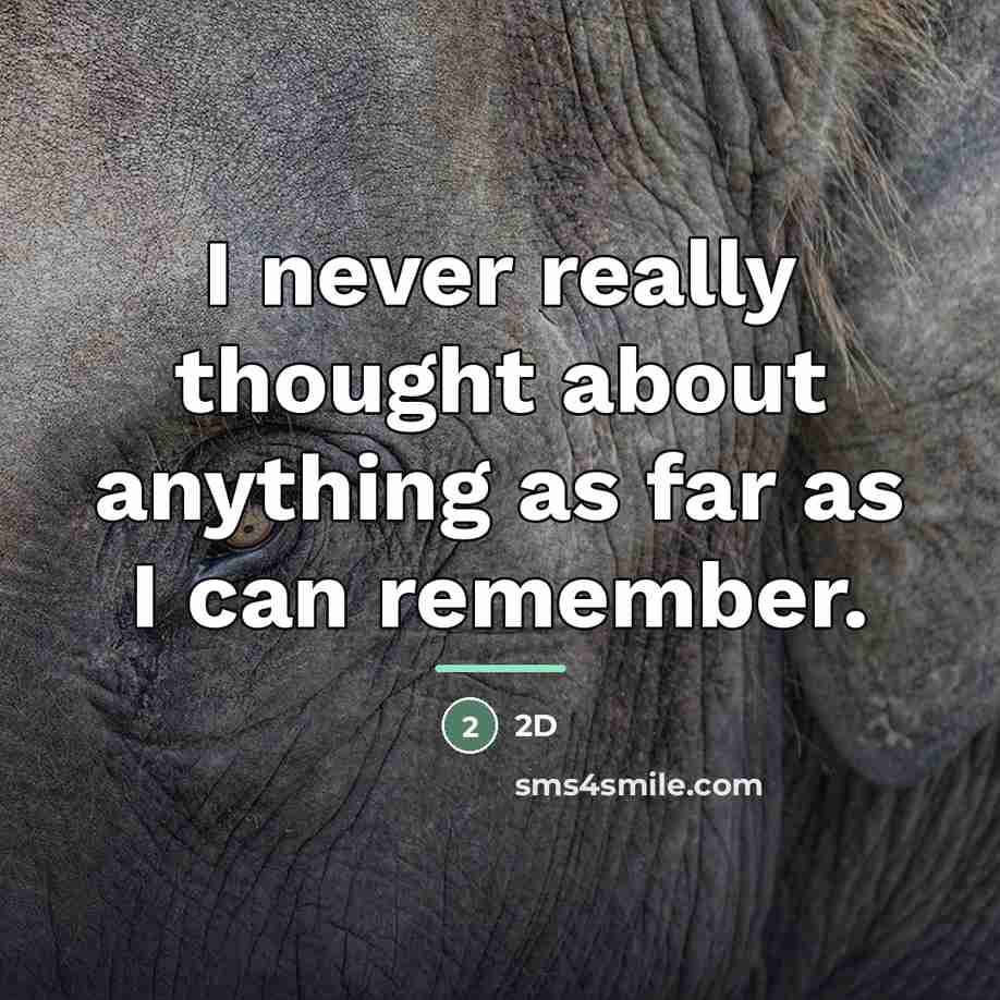 “I never really thought about anything as far as I…” quote by 2D