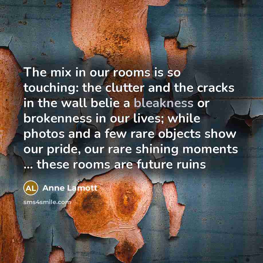 “The mix in our rooms is so touching: the clutter…” quote by Anne Lamott