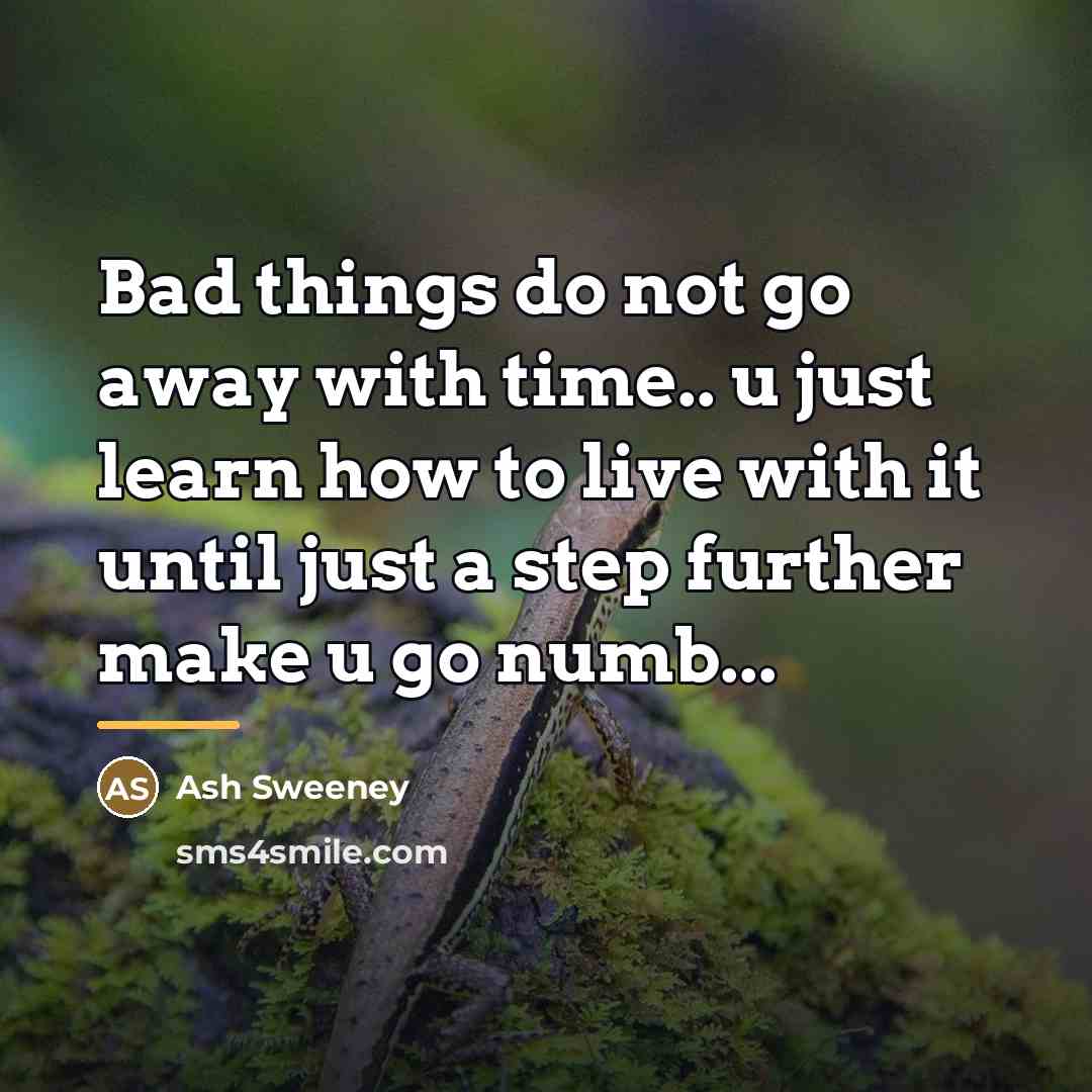 “Bad things do not go away with time.. u just…” quote by Ash Sweeney