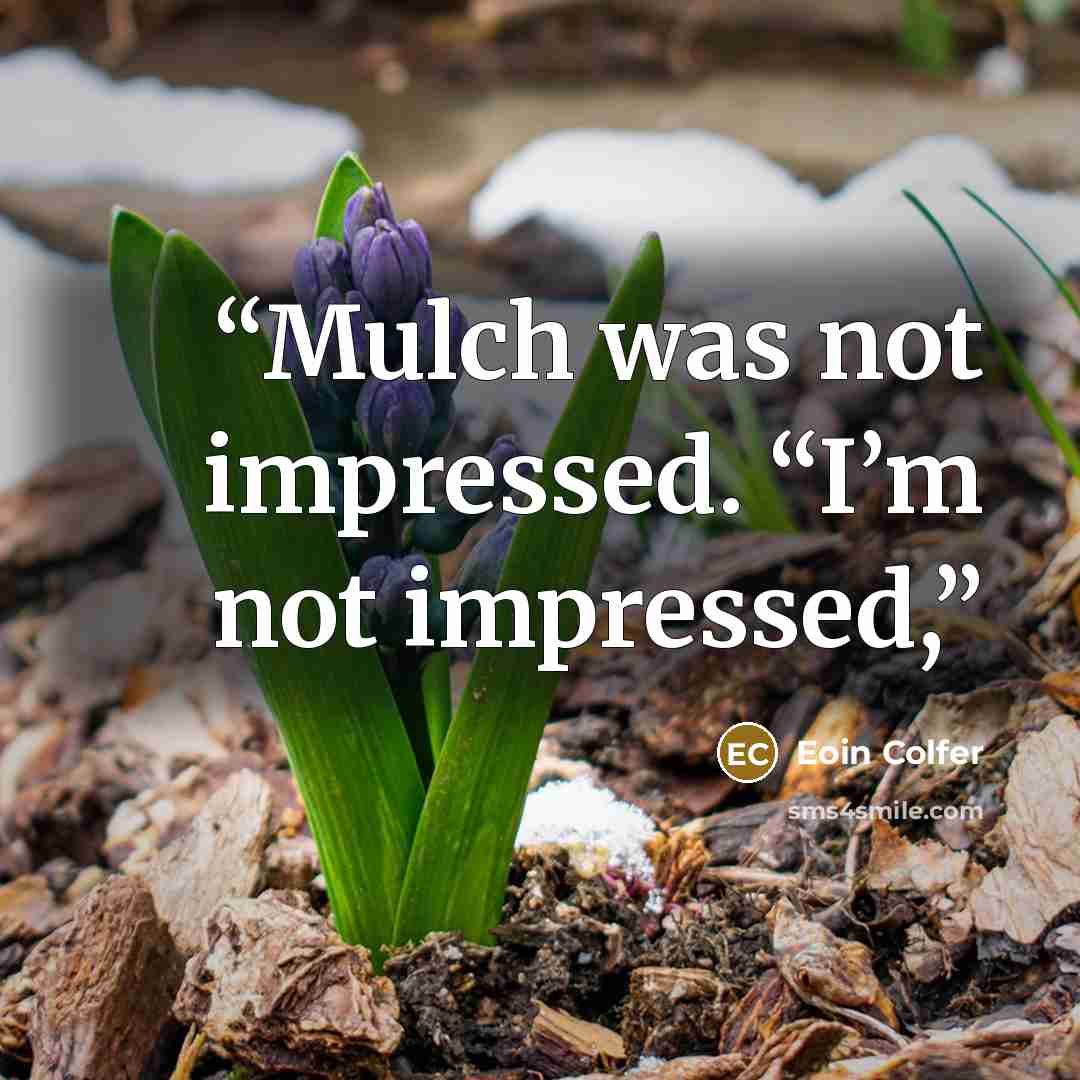 “Mulch was not impressed. “I’m not impressed,” quote by Eoin Colfer