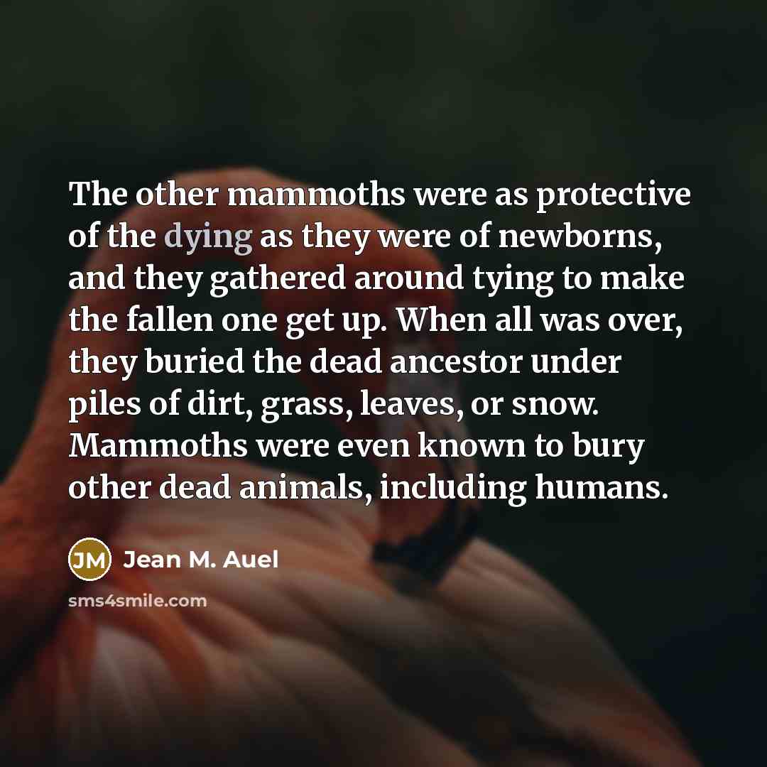 “The other mammoths were as protective of the dying as…” quote by Jean M. Auel
