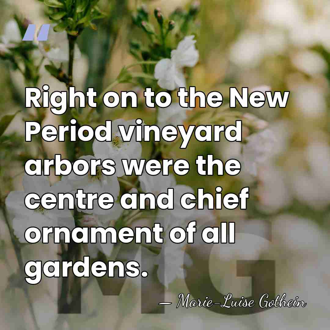 Right on to the New Period vineyard arbors were the centre and&hellip; - Marie-Luise Gothein