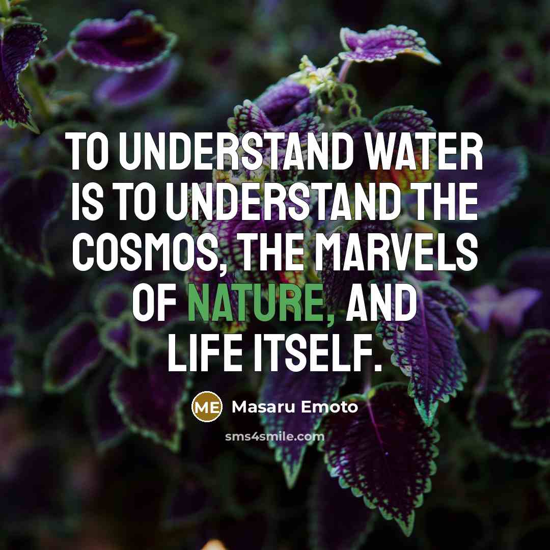 “To understand water is to understand the cosmos, the marvels…” quote by Masaru Emoto