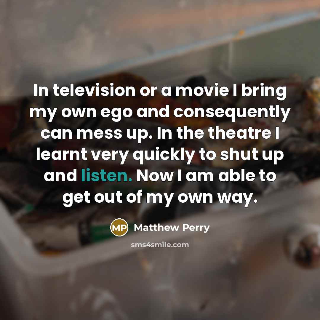 “In television or a movie I bring my own ego…” quote by Matthew Perry