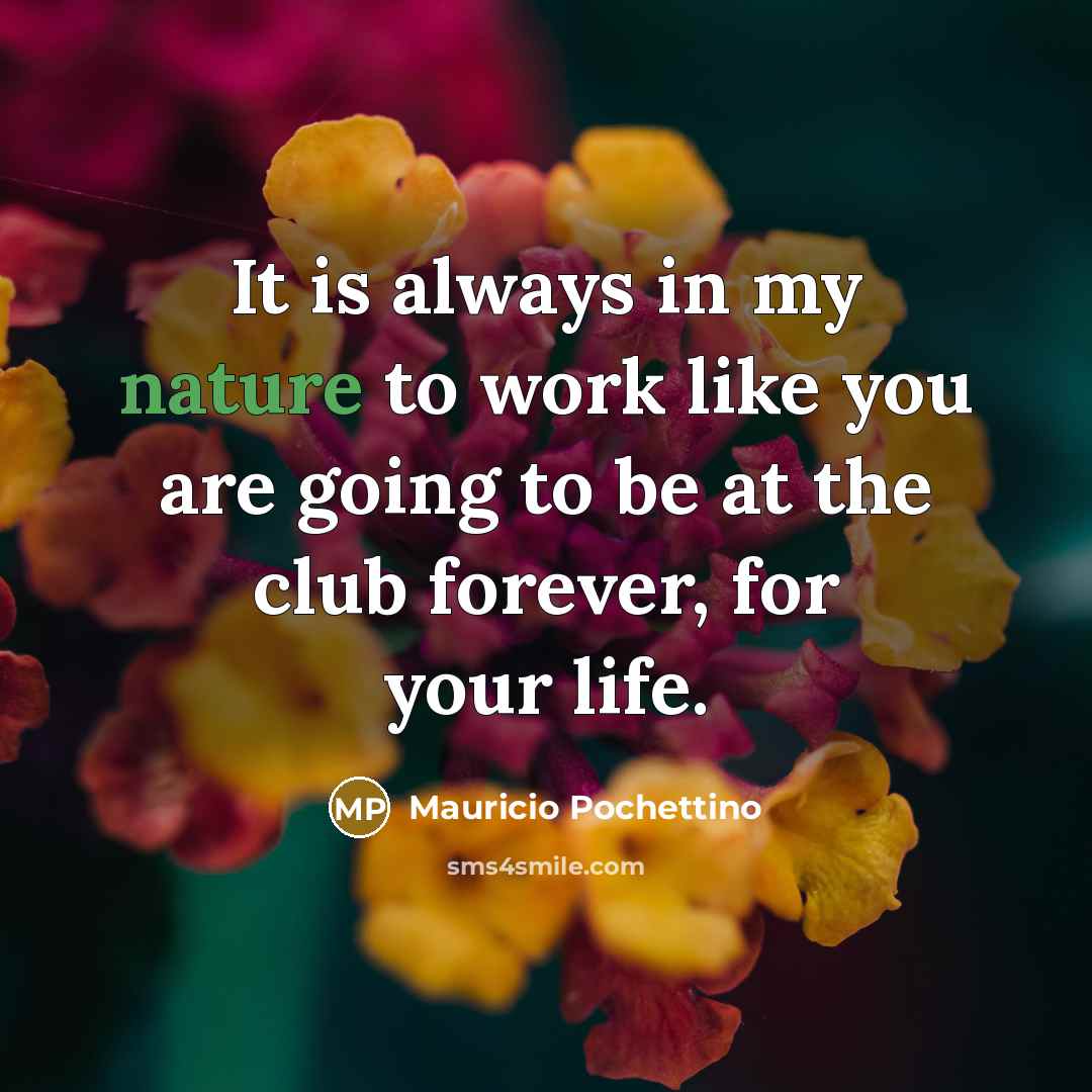 “It is always in my nature to work like you…” quote by Mauricio Pochettino