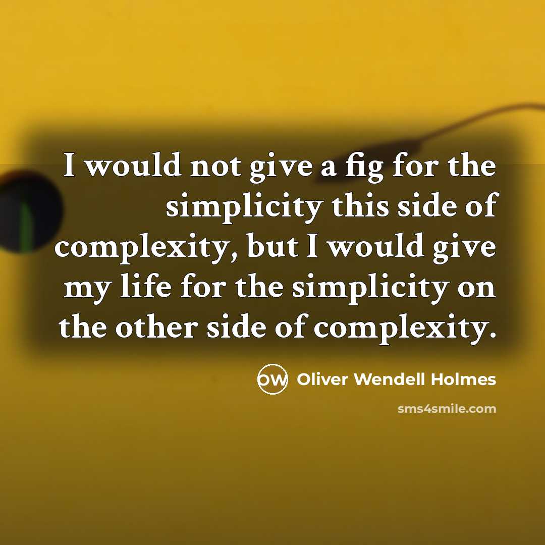 “I would not give a fig for the simplicity this…” quote by Oliver Wendell Holmes