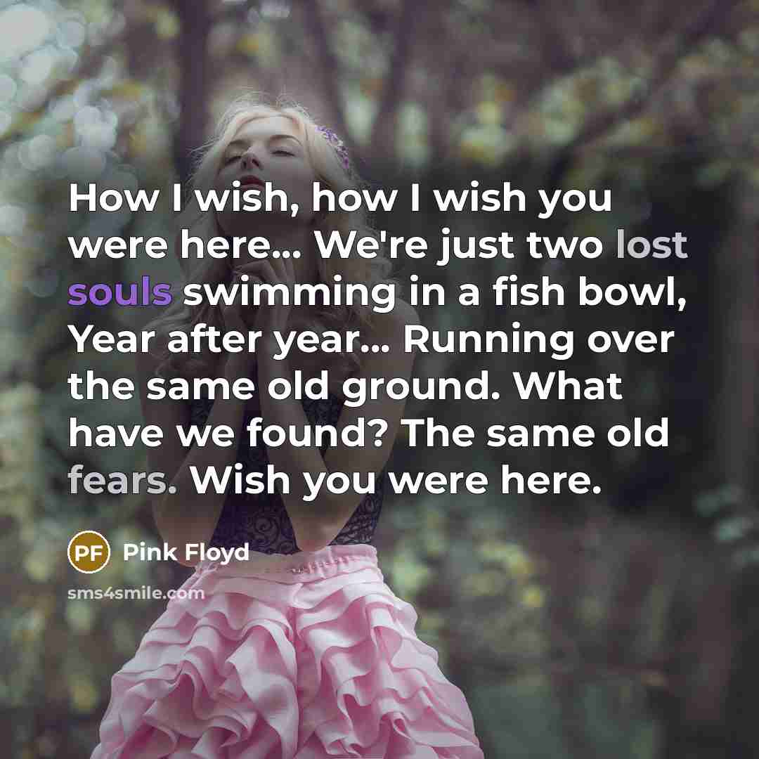 “How I wish, how I wish you were here... We're…” quote by Pink Floyd