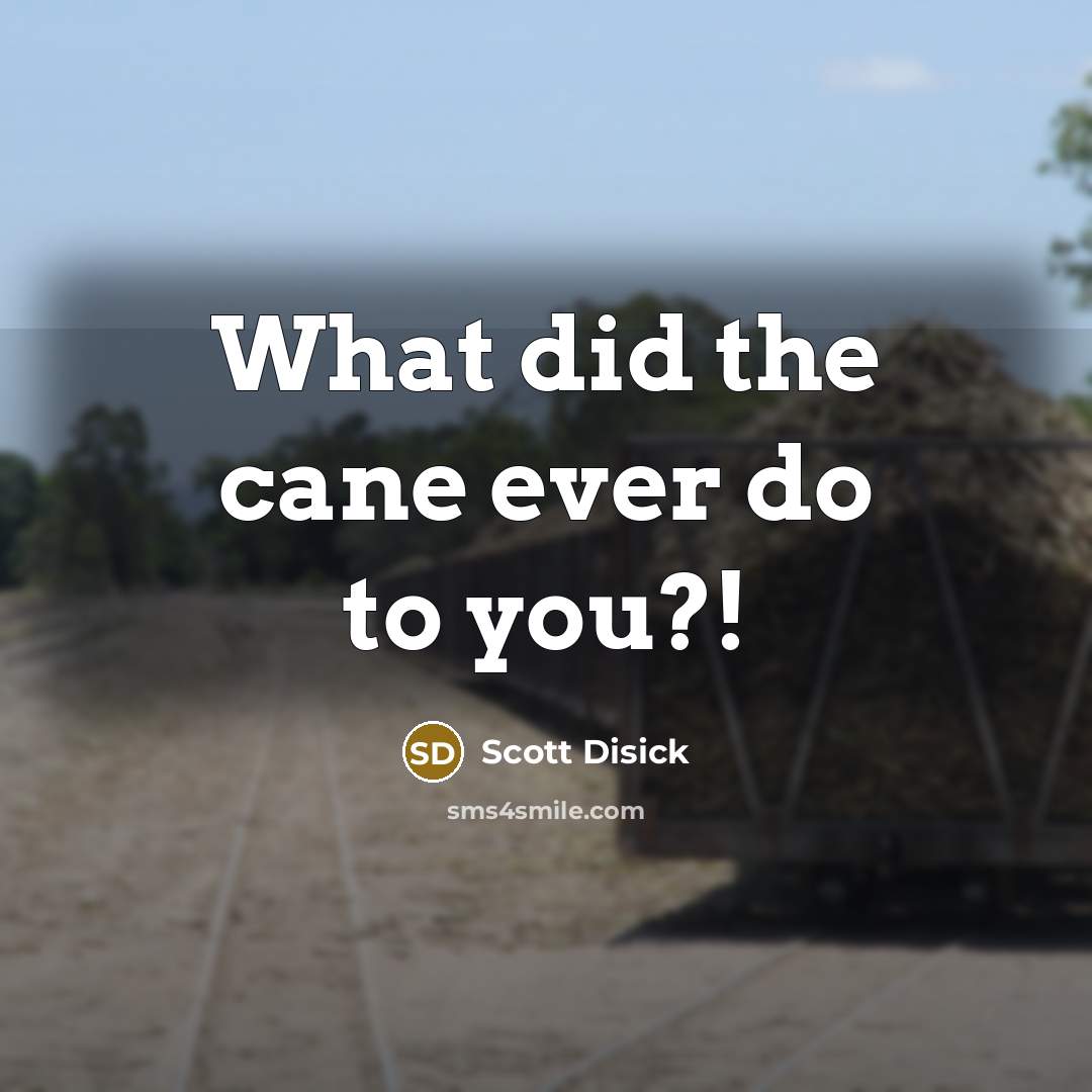 “What did the cane ever do to you?!” quote by Scott Disick
