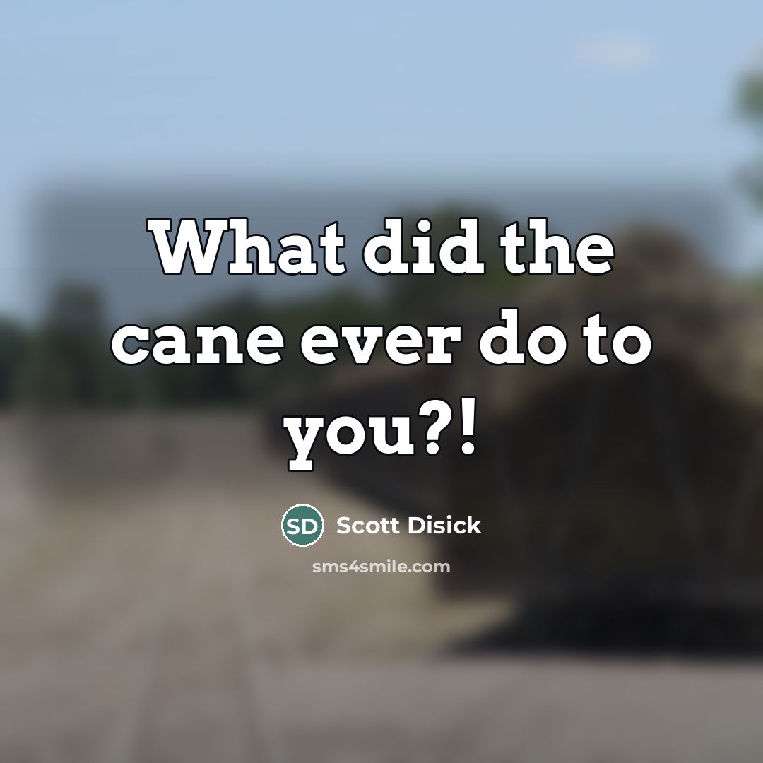 “What did the cane ever do to you?!…” quote by Scott Disick