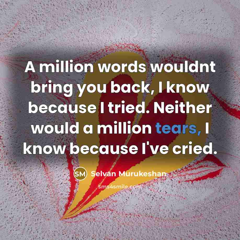 “A million words wouldnt bring you back, I know because…” quote by Selvan Murukeshan