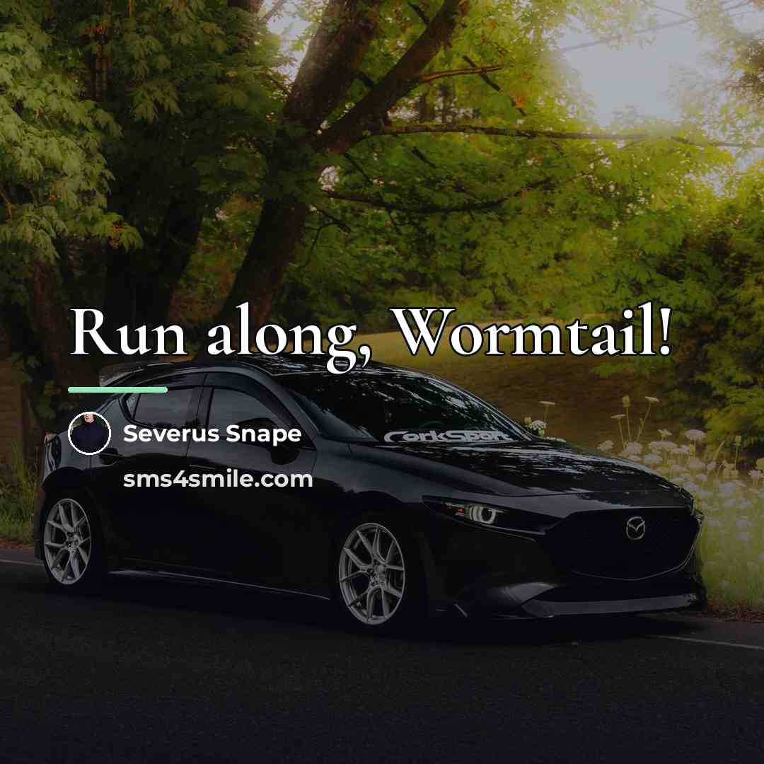 “Run along, Wormtail!…” quote by Severus Snape
