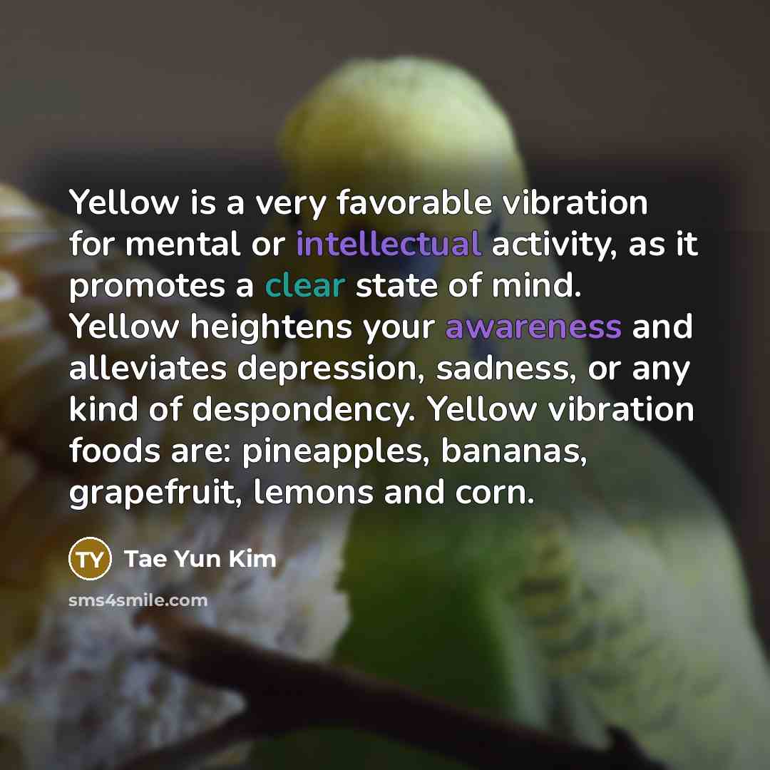 “Yellow is a very favorable vibration for mental or intellectual…” quote by Tae Yun Kim