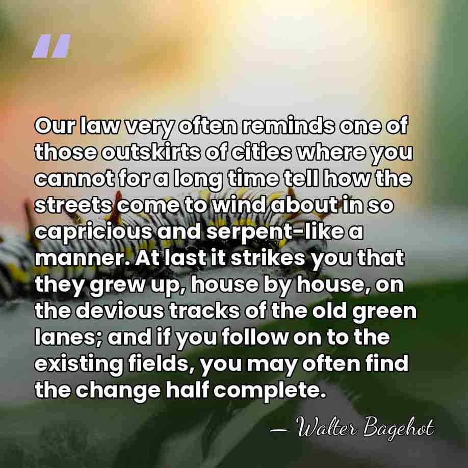 Our law very often reminds one of those outskirts of cities where&hellip; - Walter Bagehot