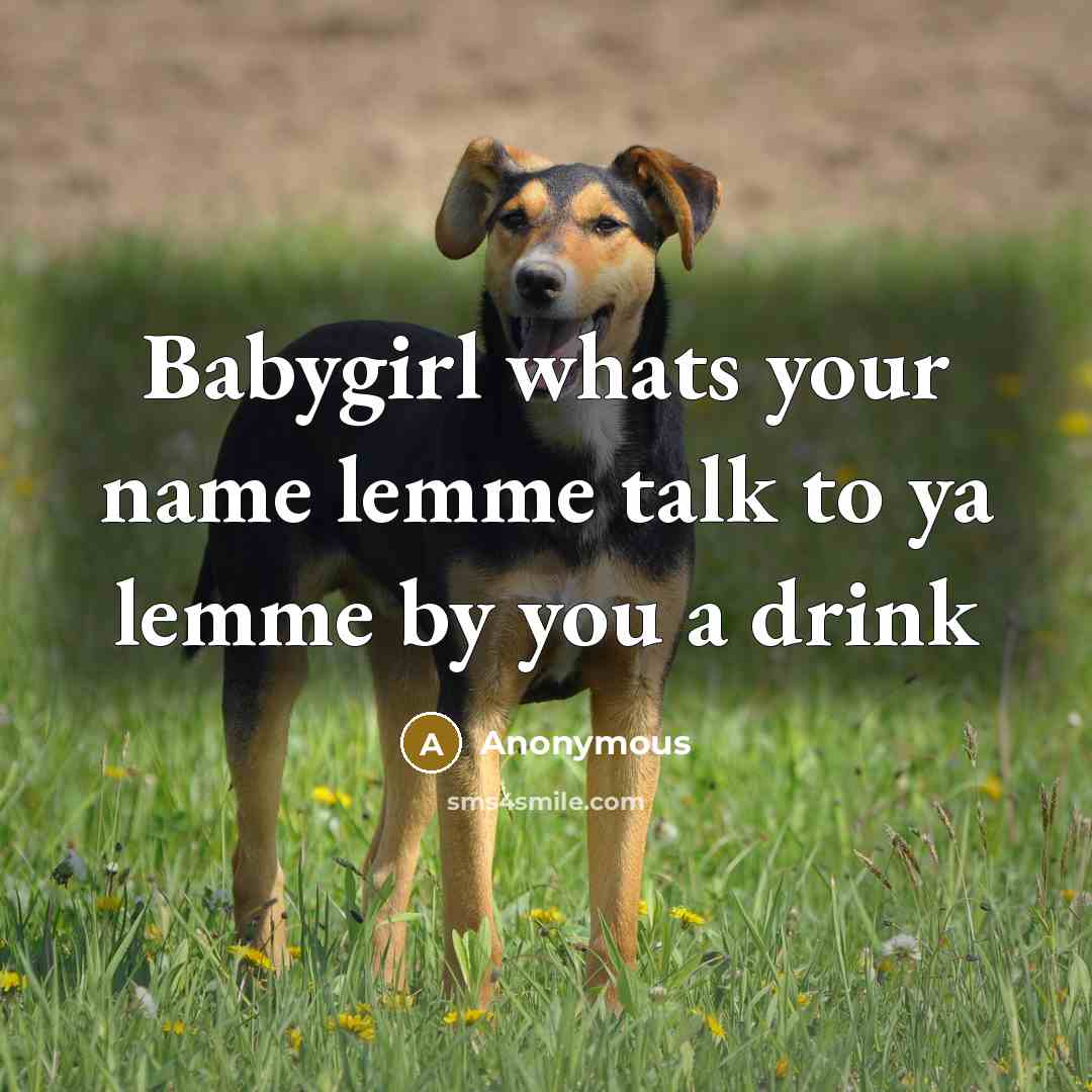 “Babygirl whats your name lemme talk to ya lemme by you a drink” quote by Anonymous