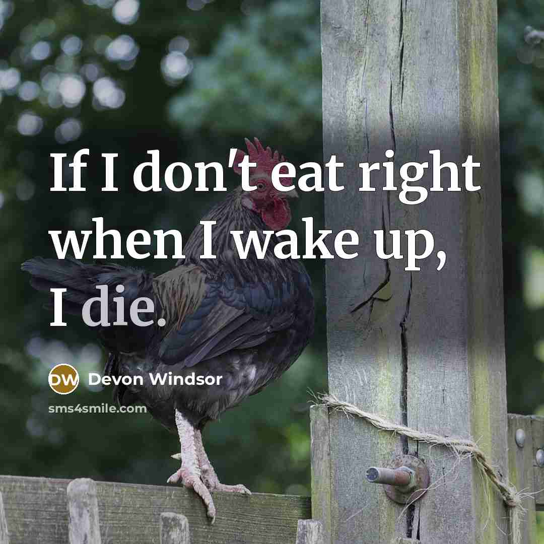 “If I don't eat right when I wake up, I…” quote by Devon Windsor