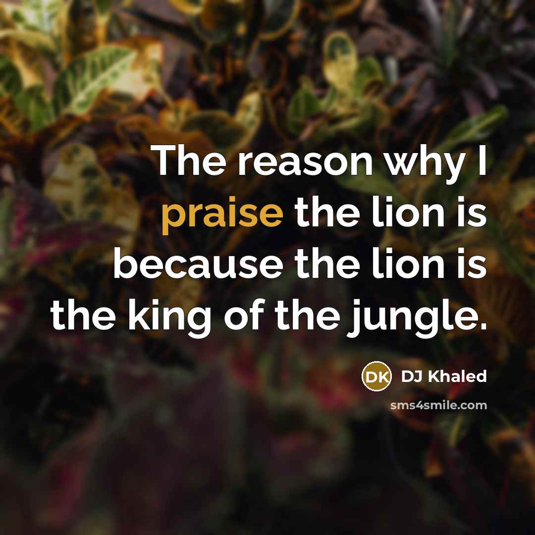 “The reason why I praise the lion is because the…” quote by DJ Khaled