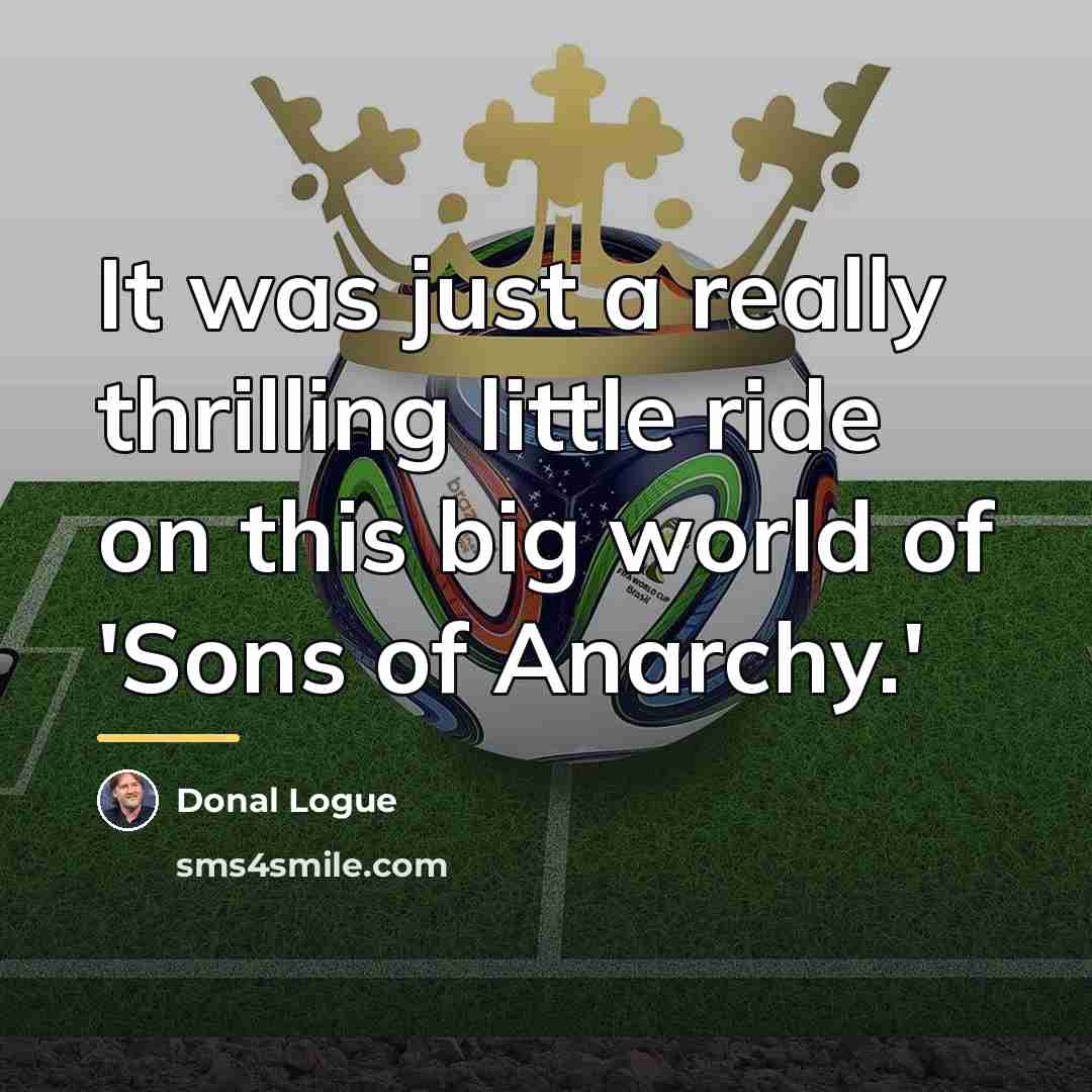 “It was just a really thrilling little ride on this…” quote by Donal Logue