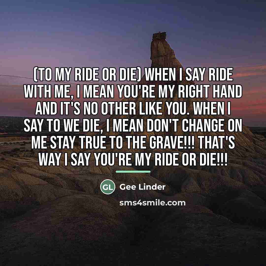 “(To My Ride Or Die) When I say ride with…” quote by Gee Linder