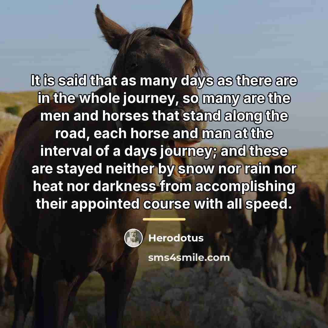 “It is said that as many days as there are…” quote by Herodotus