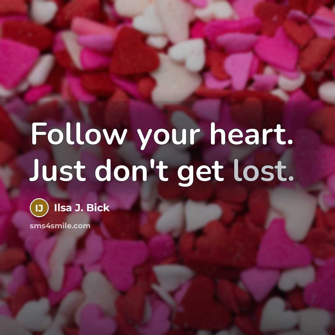 “Follow your heart. Just don't get lost.” quote by Ilsa J. Bick