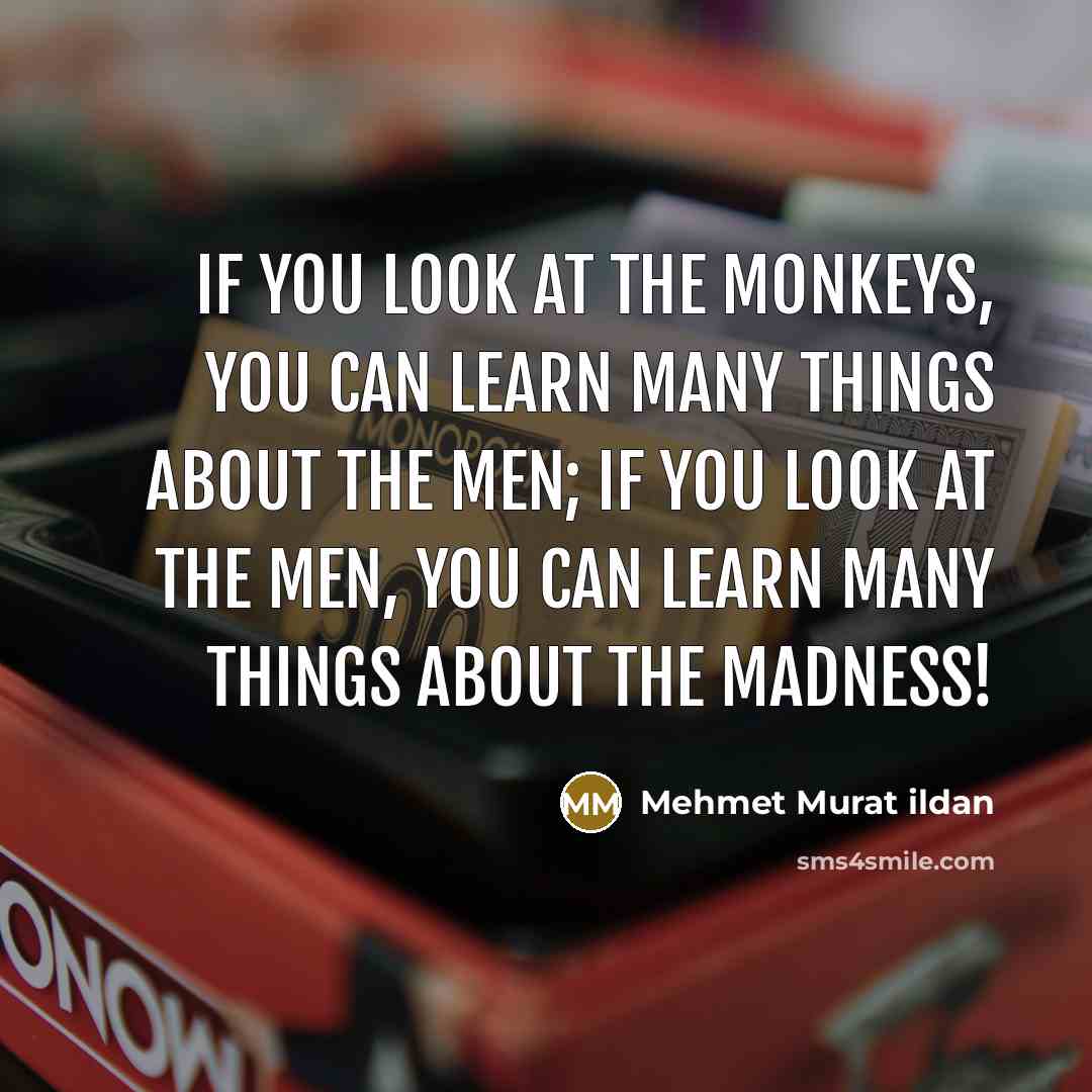 “If you look at the monkeys, you can learn many…” quote by Mehmet Murat Ildan