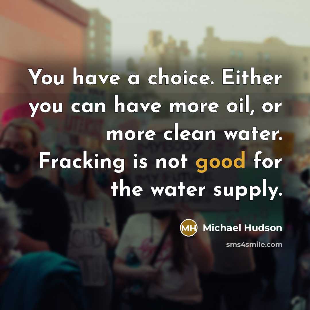 “You have a choice. Either you can have more oil,…” quote by Michael Hudson