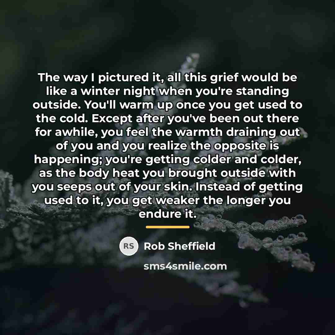 “The way I pictured it, all this grief would be…” quote by Rob Sheffield