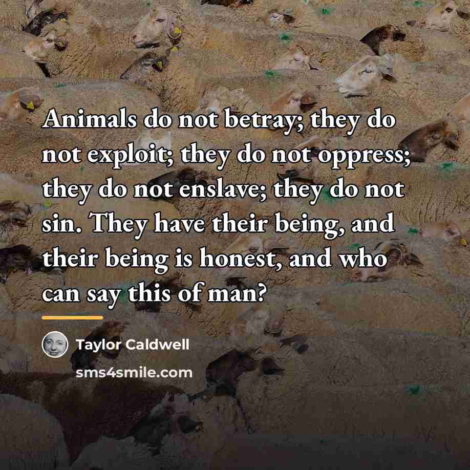 “Animals do not betray; they do not exploit; they do…” quote by Taylor Caldwell