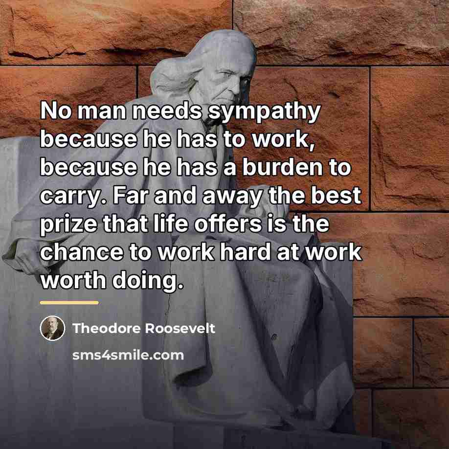 “No man needs sympathy because he has to work, because…” quote by Theodore Roosevelt