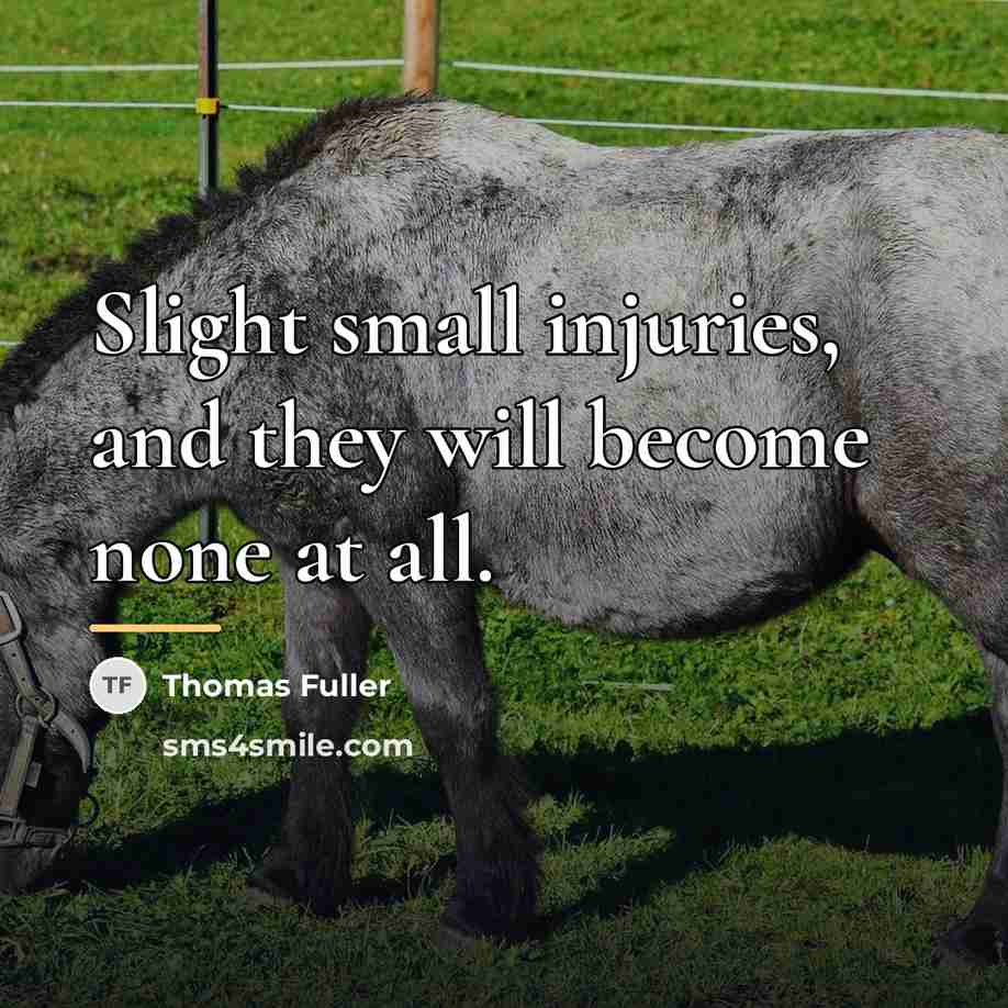 “Slight small injuries, and they will become none at all.…” quote by Thomas Fuller