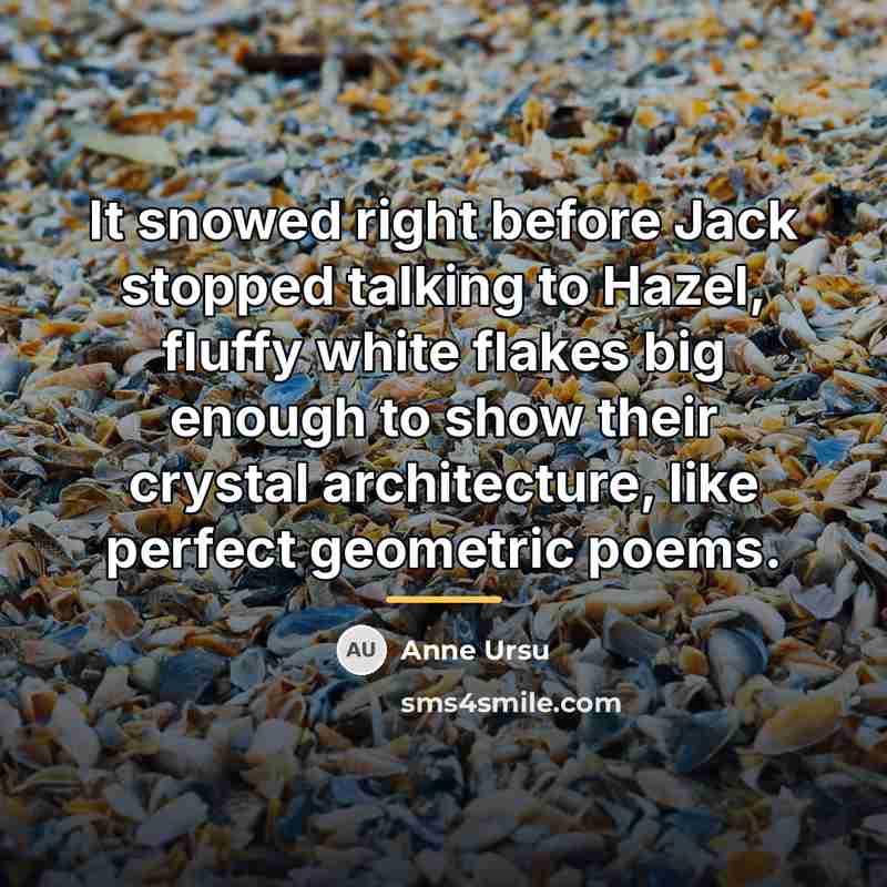 “It snowed right before Jack stopped talking to Hazel, fluffy…” quote by Anne Ursu