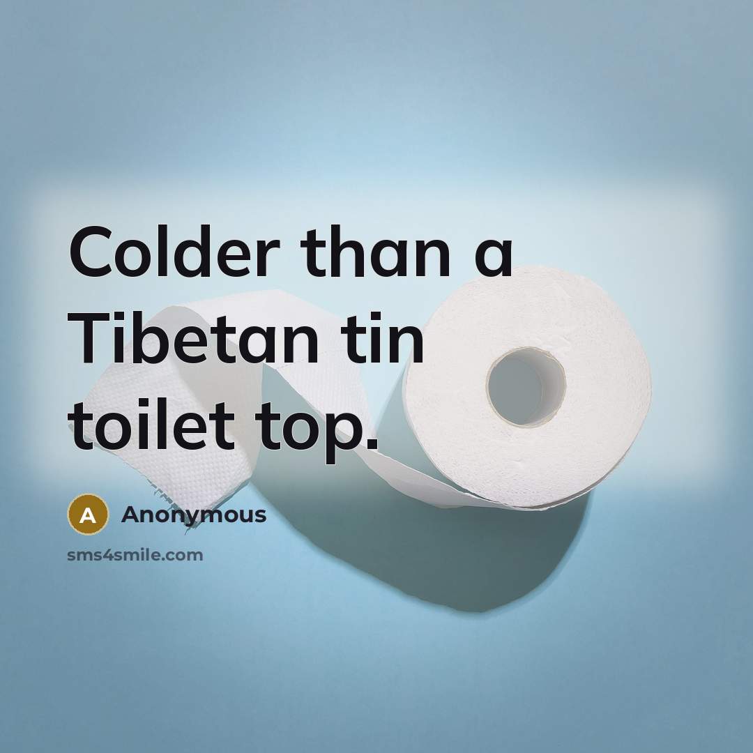 “Colder than a Tibetan tin toilet top.…” quote by Anonymous