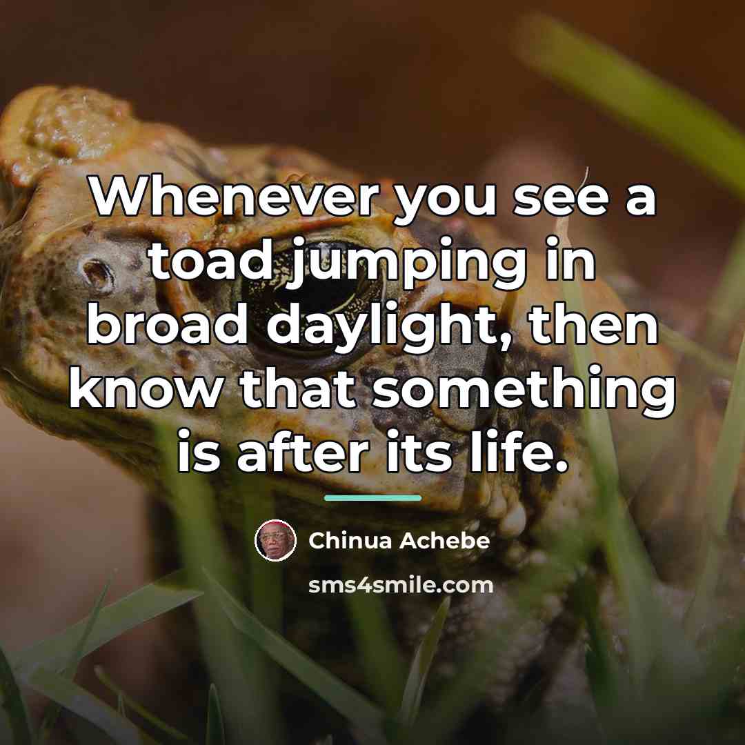 “Whenever you see a toad jumping in broad daylight, then…” quote by Chinua Achebe