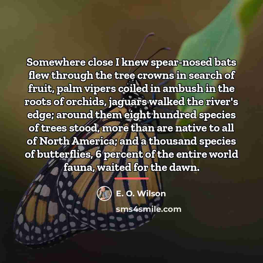 “Somewhere close I knew spear-nosed bats flew through the tree…” quote by E. O. Wilson