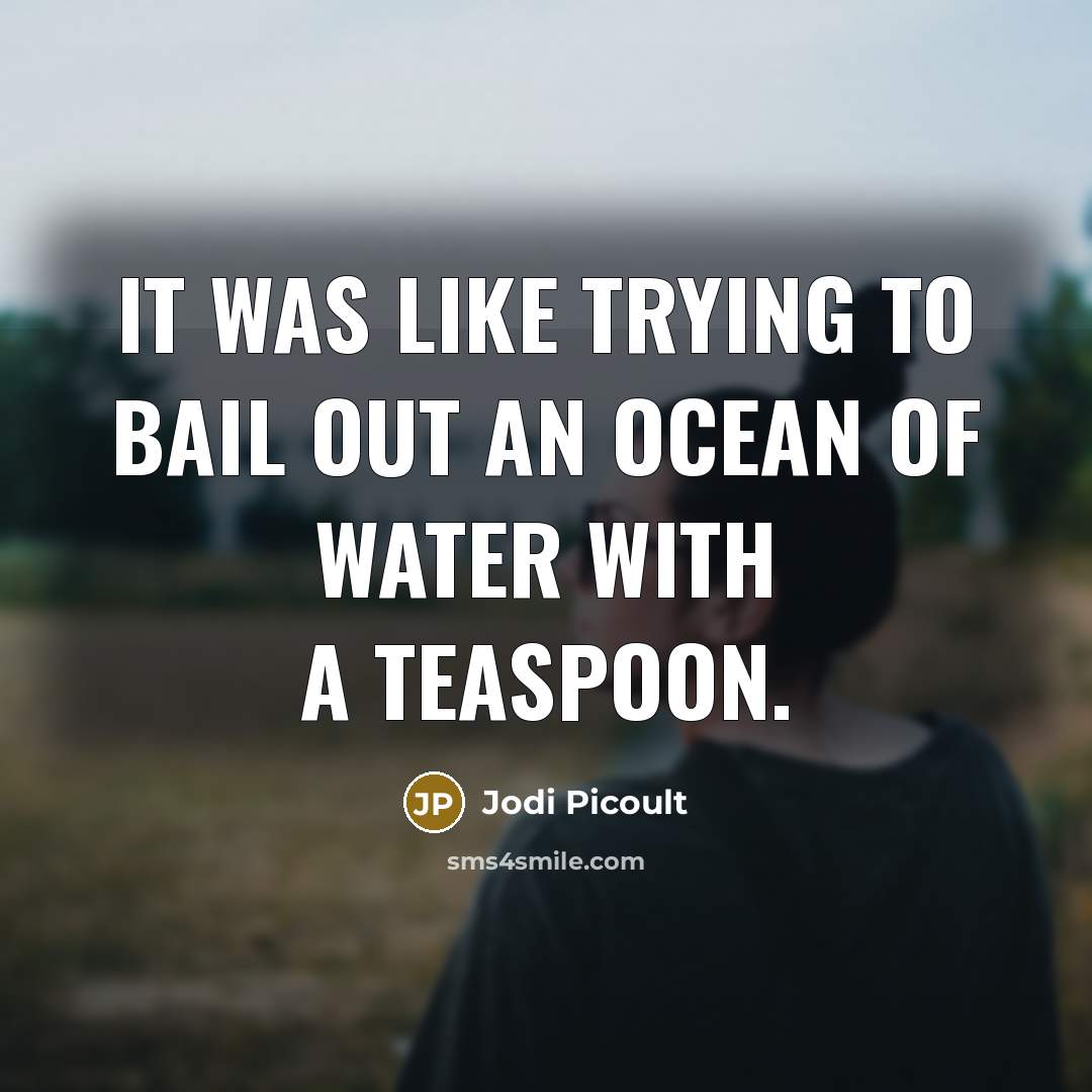 “It was like trying to bail out an ocean of…” quote by Jodi Picoult