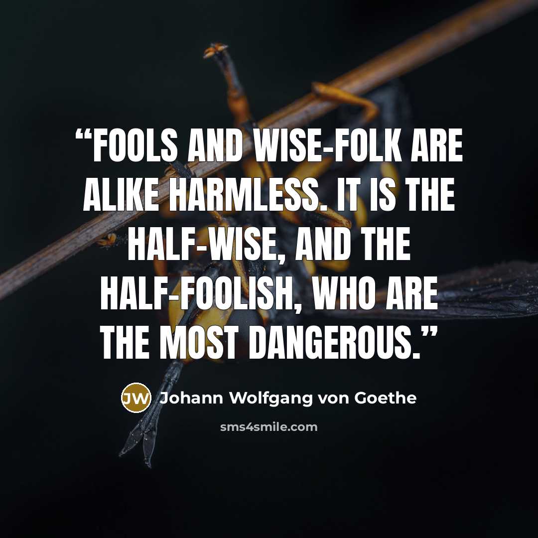 “Fools and wise-folk are alike harmless. It is the half-wise, and the half-foolish, who are the most dangerous.” quote by Johann Wolfgang von Goethe