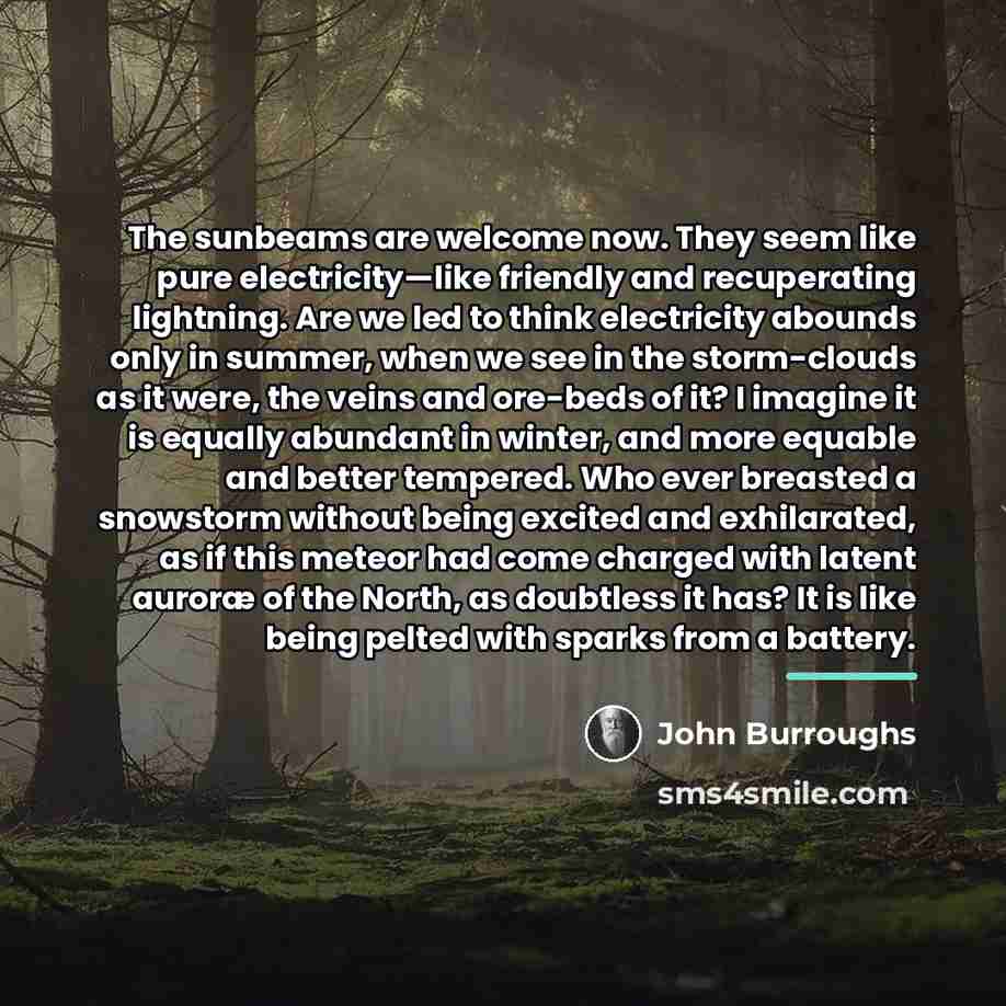 “The sunbeams are welcome now. They seem like pure electricity—like…” quote by John Burroughs
