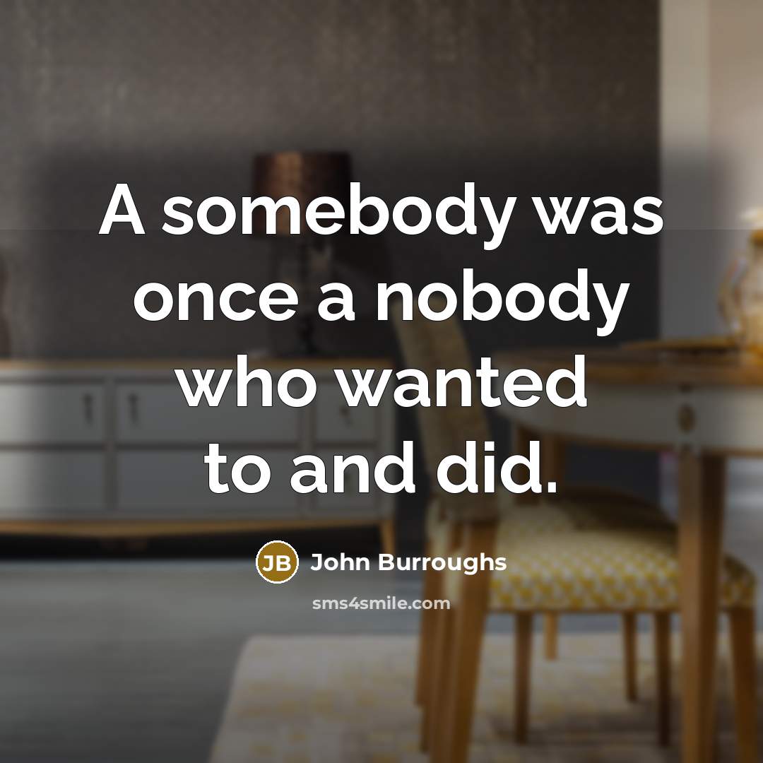 “A somebody was once a nobody who wanted to and…” quote by John Burroughs