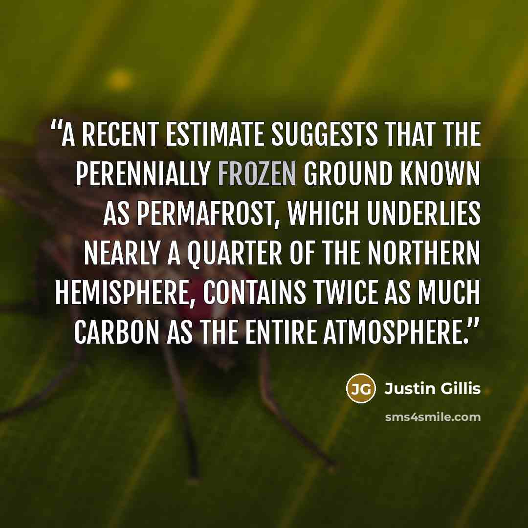 “A recent estimate suggests that the perennially frozen ground known as permafrost, which underlies nearly a quarter of the Northern Hemisphere, contains twice as much carbon as the entire atmosphere.” quote by Justin Gillis