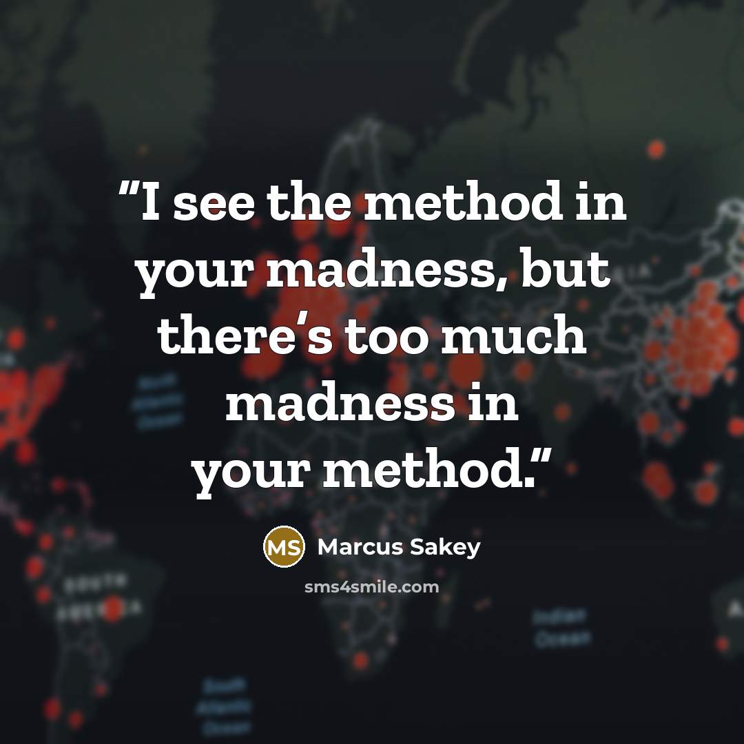 “I see the method in your madness, but there’s too much madness in your method.” quote by Marcus Sakey